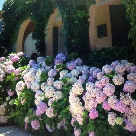 La Farigoulette * Saint-Tropez